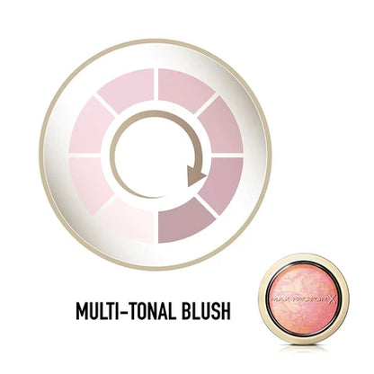 Compact Blush Lovely Pink 5 Multitonal Powder Blush - FitnessFlow