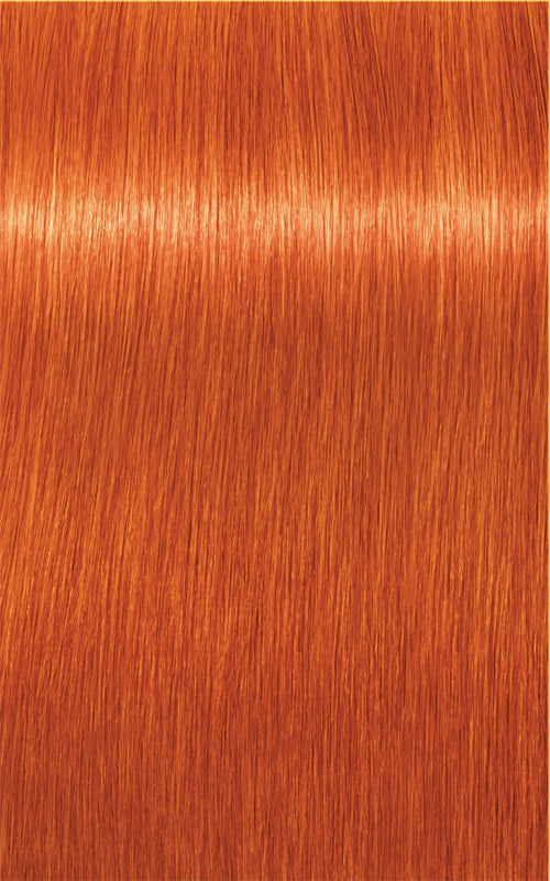 Schwarzkopf Igora Royal 0-77 Copper Concentrate Permanent Color Creme